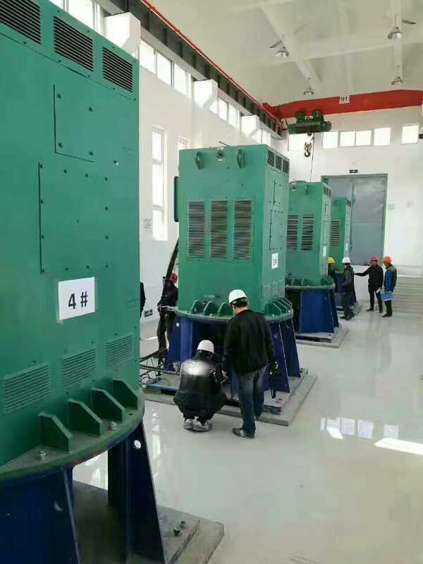 宁乡某污水处理厂使用我厂的立式高压电机安装现场